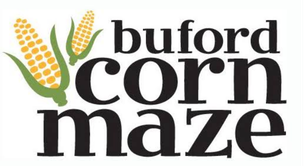 Buford Corn Maze